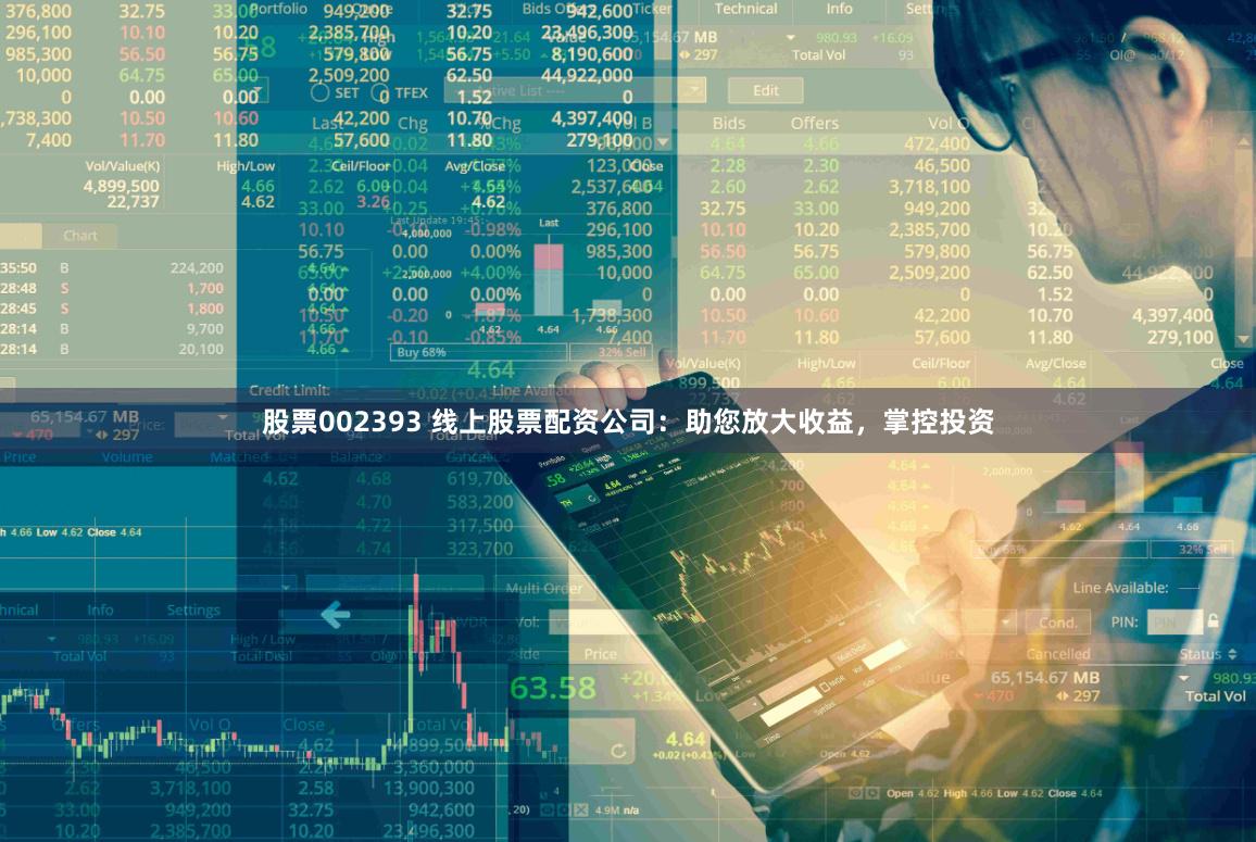 股票002393 线上股票配资公司：助您放大收益，掌控投资