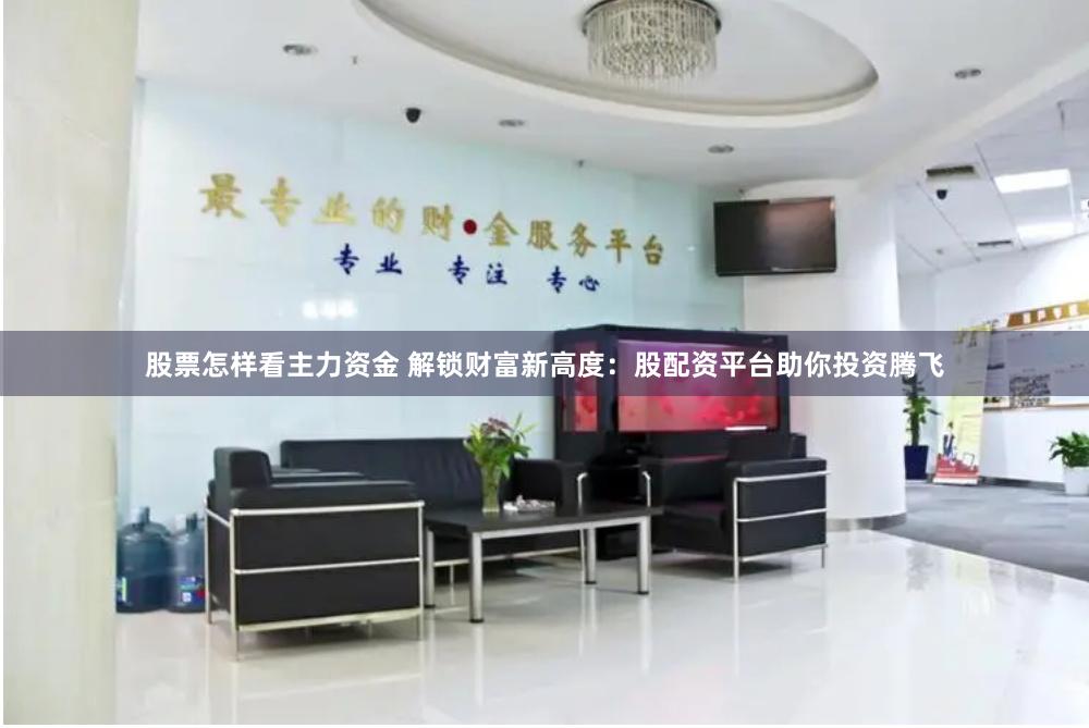 股票怎样看主力资金 解锁财富新高度：股配资平台助你投资腾飞
