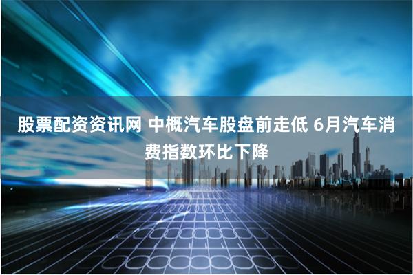 股票配资资讯网 中概汽车股盘前走低 6月汽车消费指数环比下降