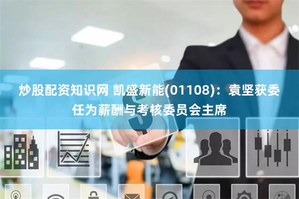 炒股配资知识网 凯盛新能(01108)：袁坚获委任为薪酬与考核委员会主席