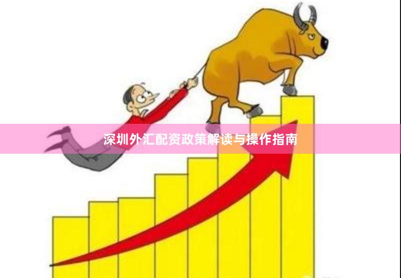 深圳外汇配资政策解读与操作指南